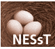 NESsT